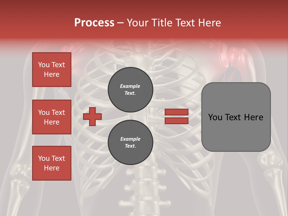 Skin Skeleton Biology PowerPoint Template
