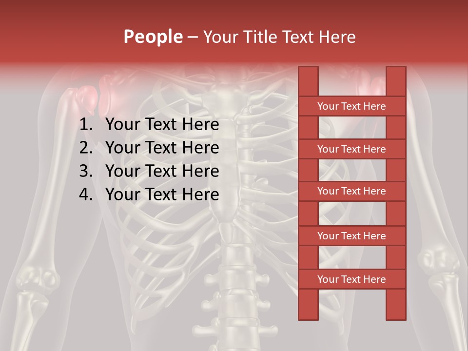 Skin Skeleton Biology PowerPoint Template