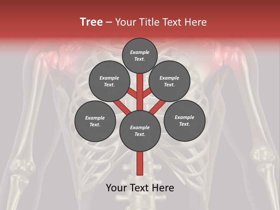 Skin Skeleton Biology PowerPoint Template