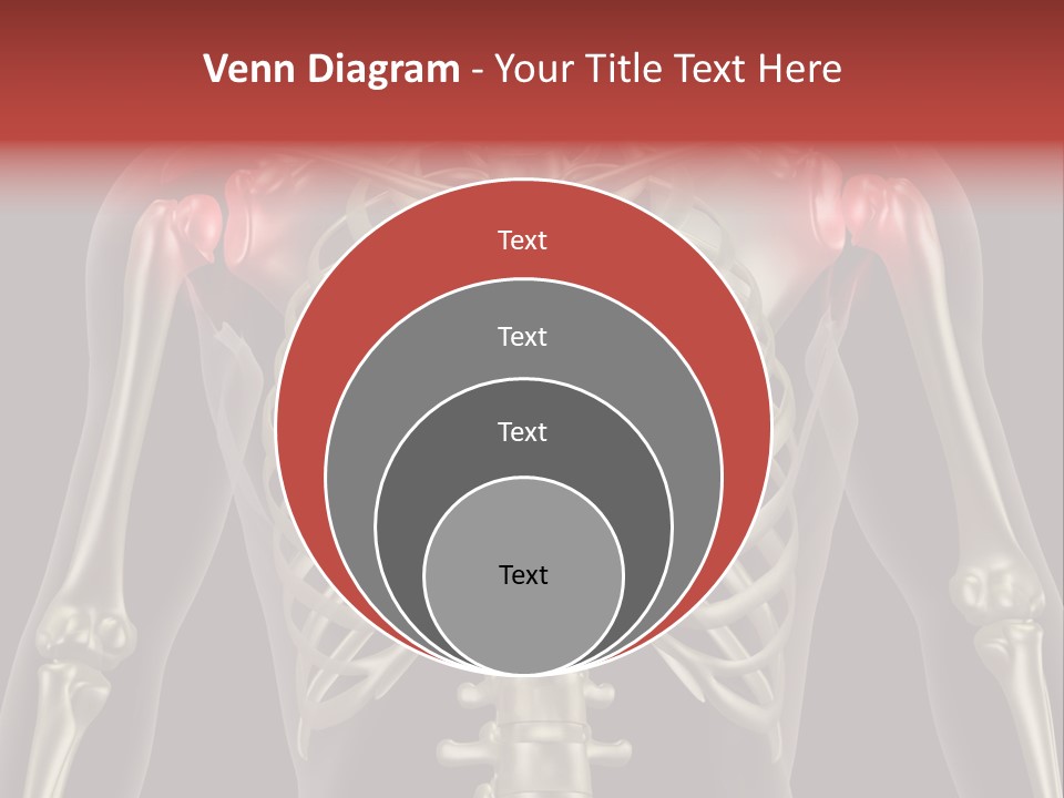 Skin Skeleton Biology PowerPoint Template