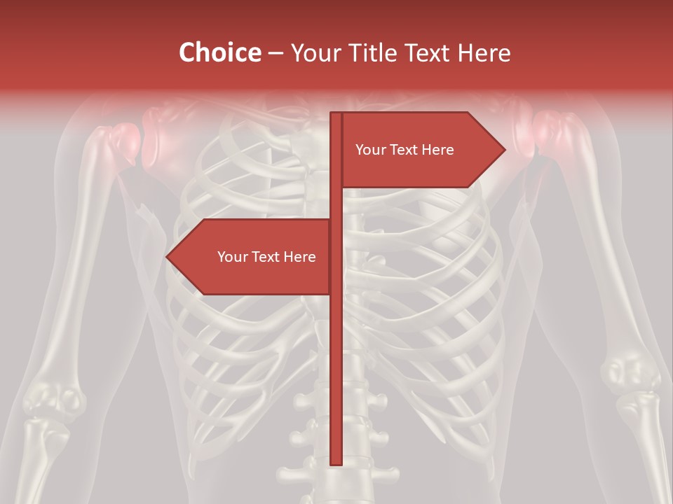 Skin Skeleton Biology PowerPoint Template