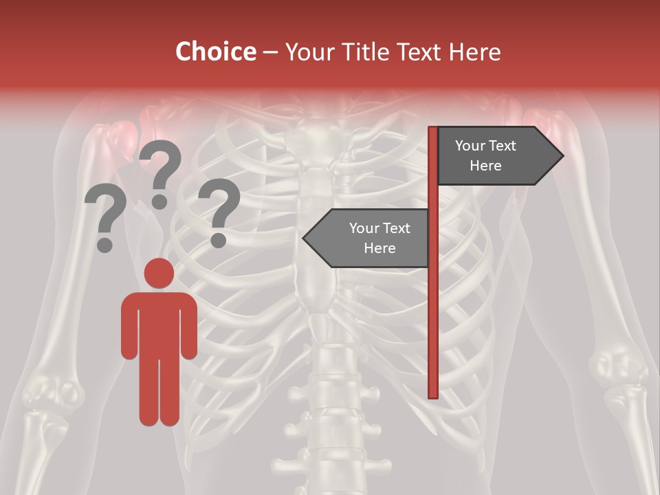Skin Skeleton Biology PowerPoint Template