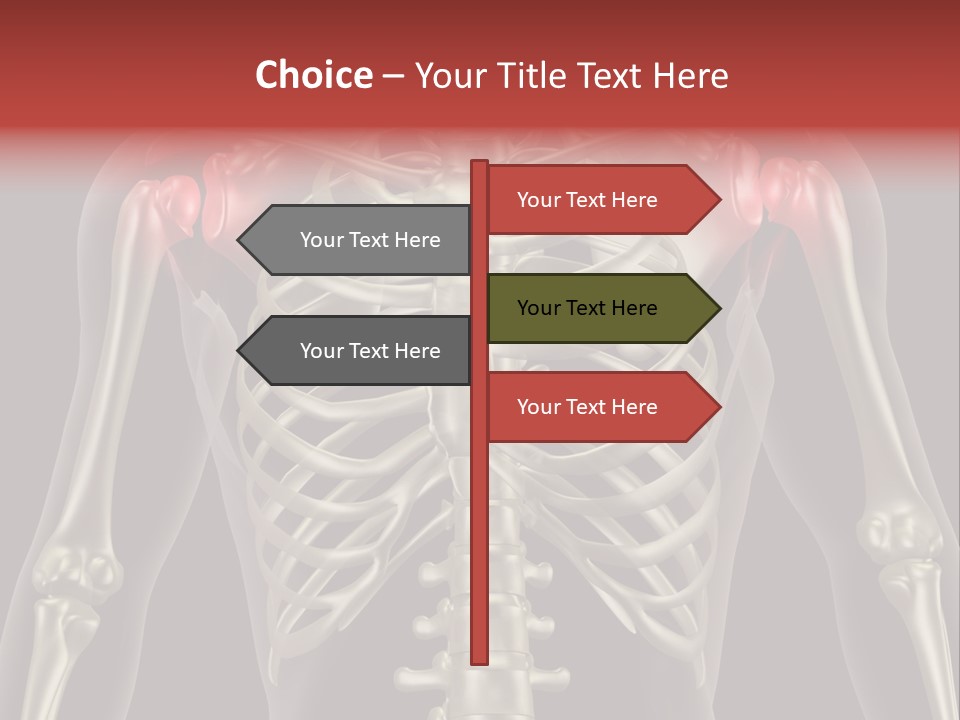 Skin Skeleton Biology PowerPoint Template