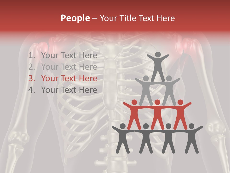 Skin Skeleton Biology PowerPoint Template