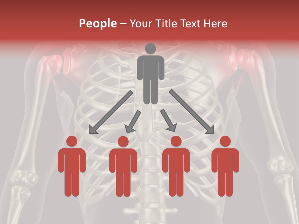 Skin Skeleton Biology PowerPoint Template