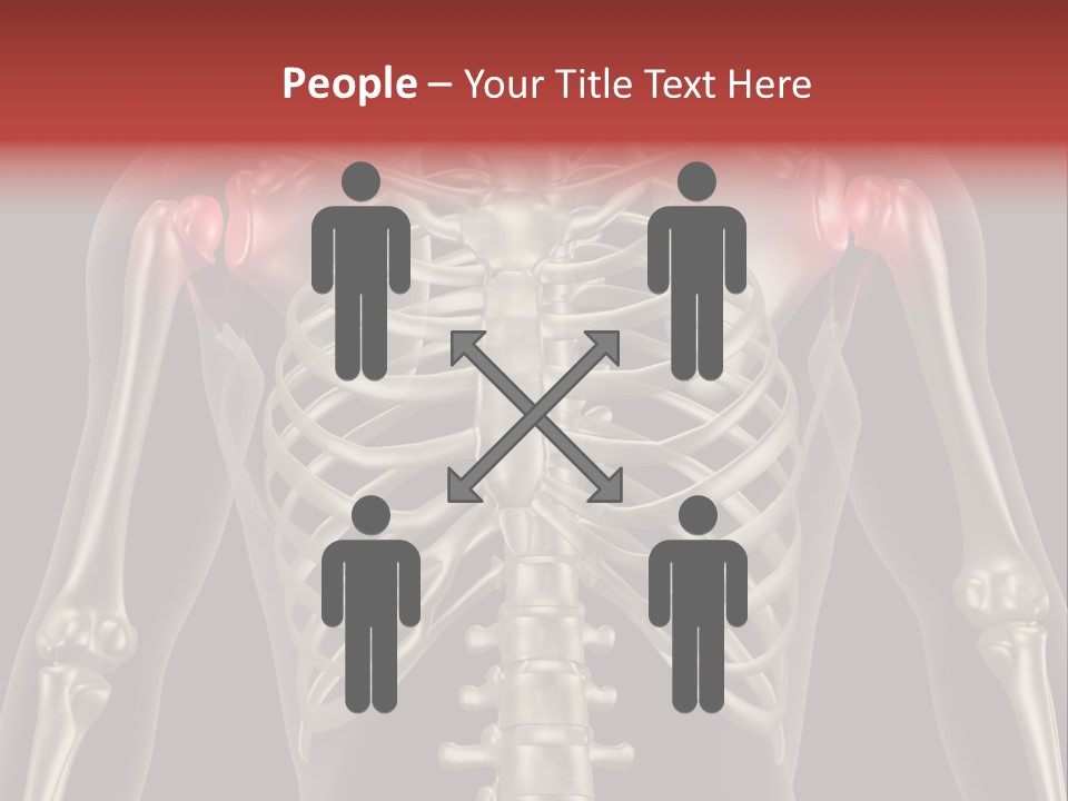Skin Skeleton Biology PowerPoint Template