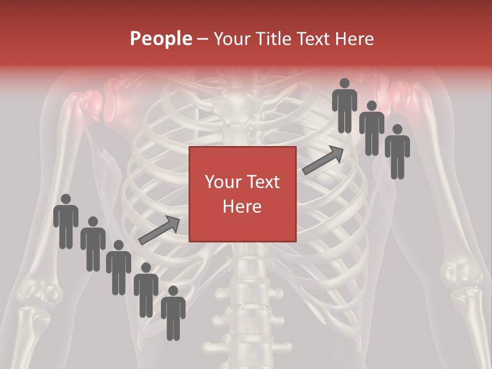 Skin Skeleton Biology PowerPoint Template
