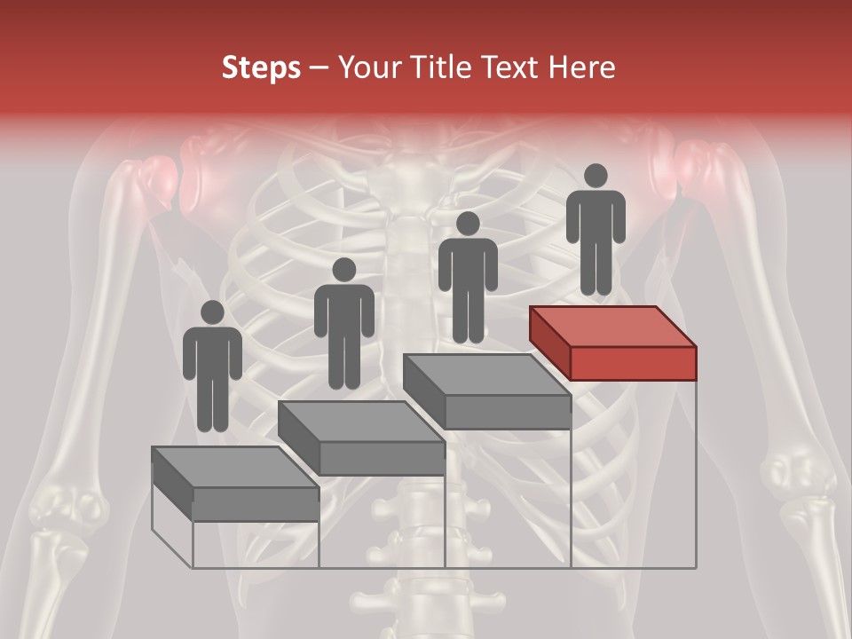 Skin Skeleton Biology PowerPoint Template