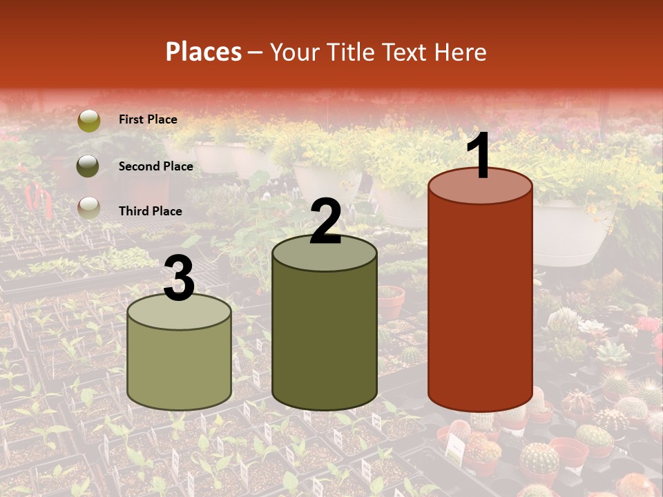 Flowers Center Outdoors PowerPoint Template