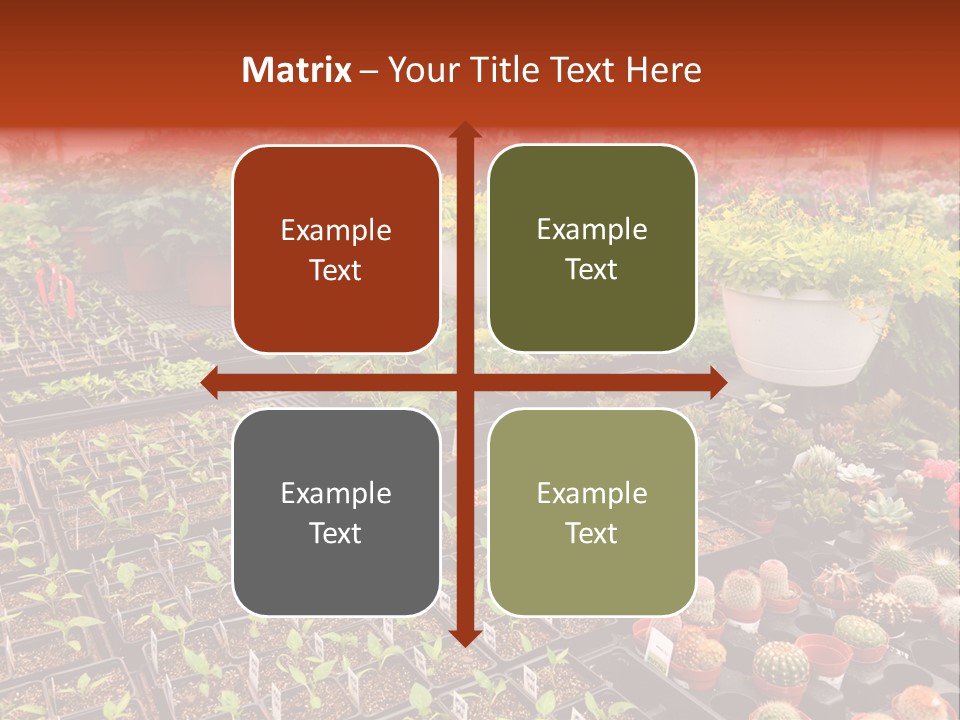 Flowers Center Outdoors PowerPoint Template