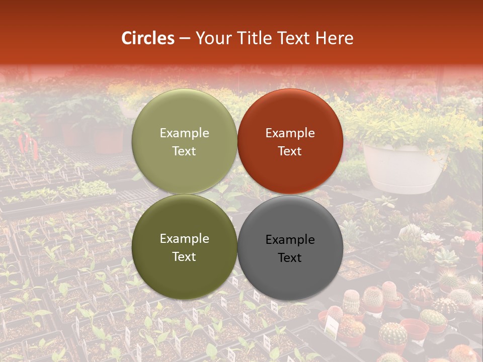 Flowers Center Outdoors PowerPoint Template