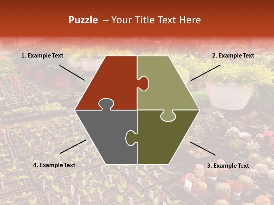 Flowers Center Outdoors PowerPoint Template