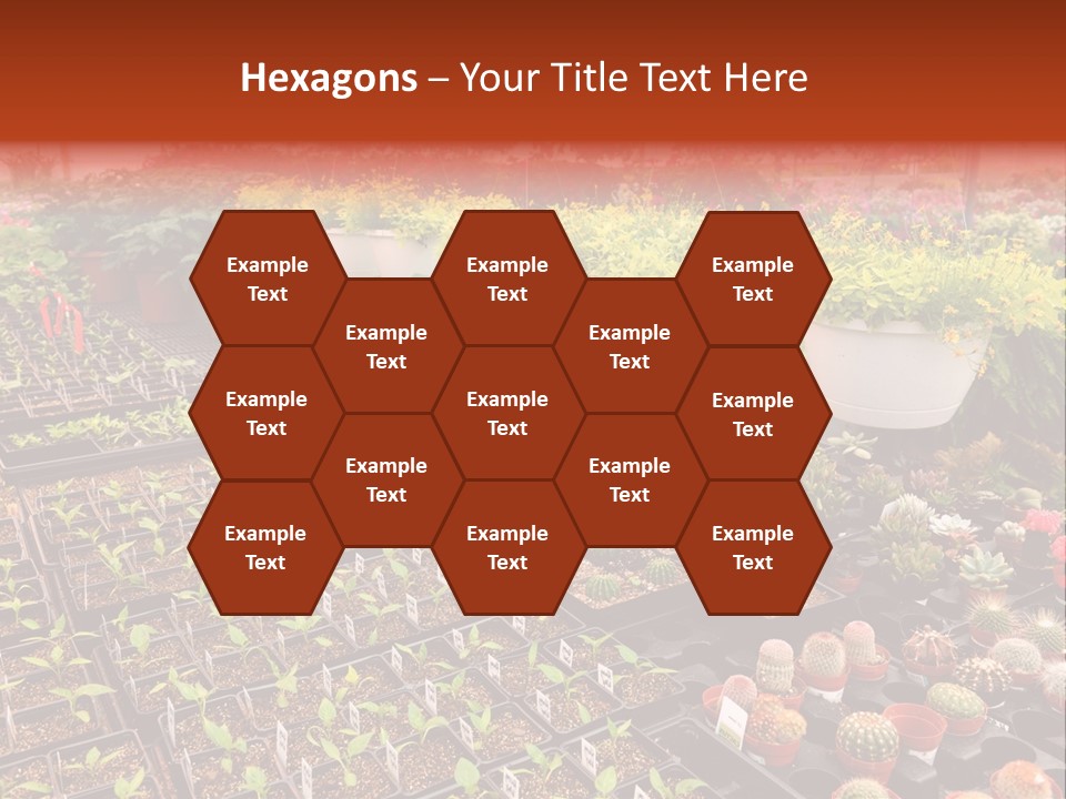 Flowers Center Outdoors PowerPoint Template