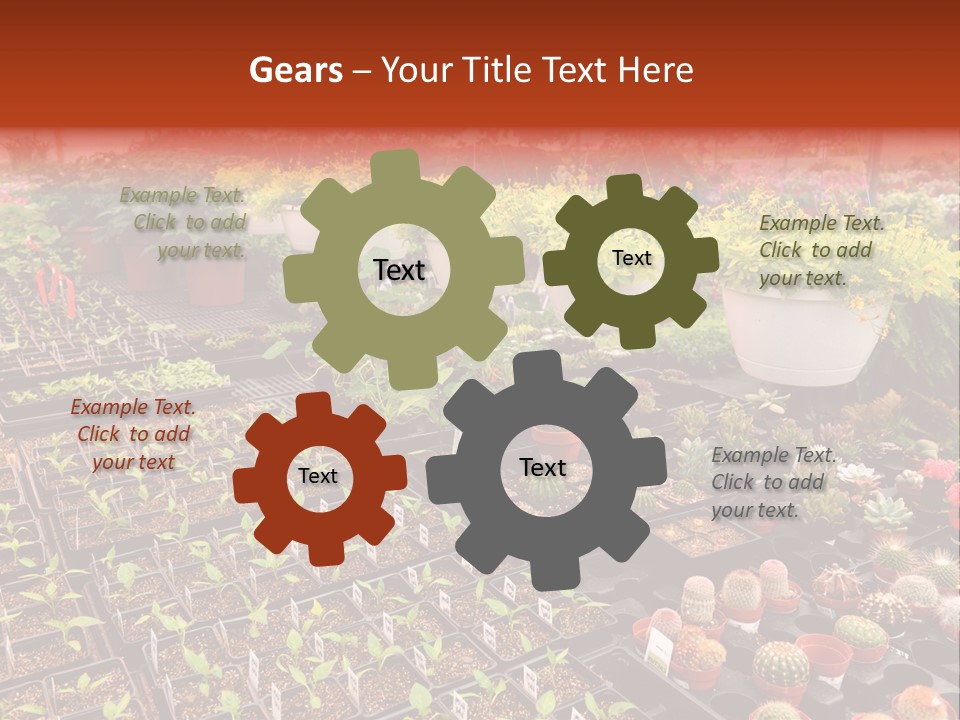 Flowers Center Outdoors PowerPoint Template