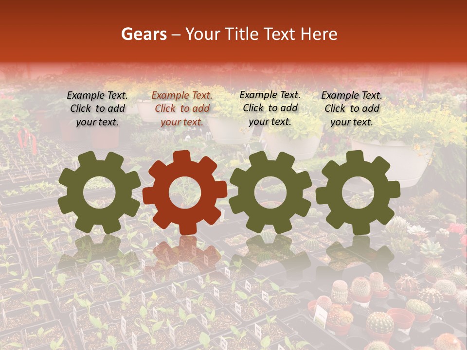 Flowers Center Outdoors PowerPoint Template