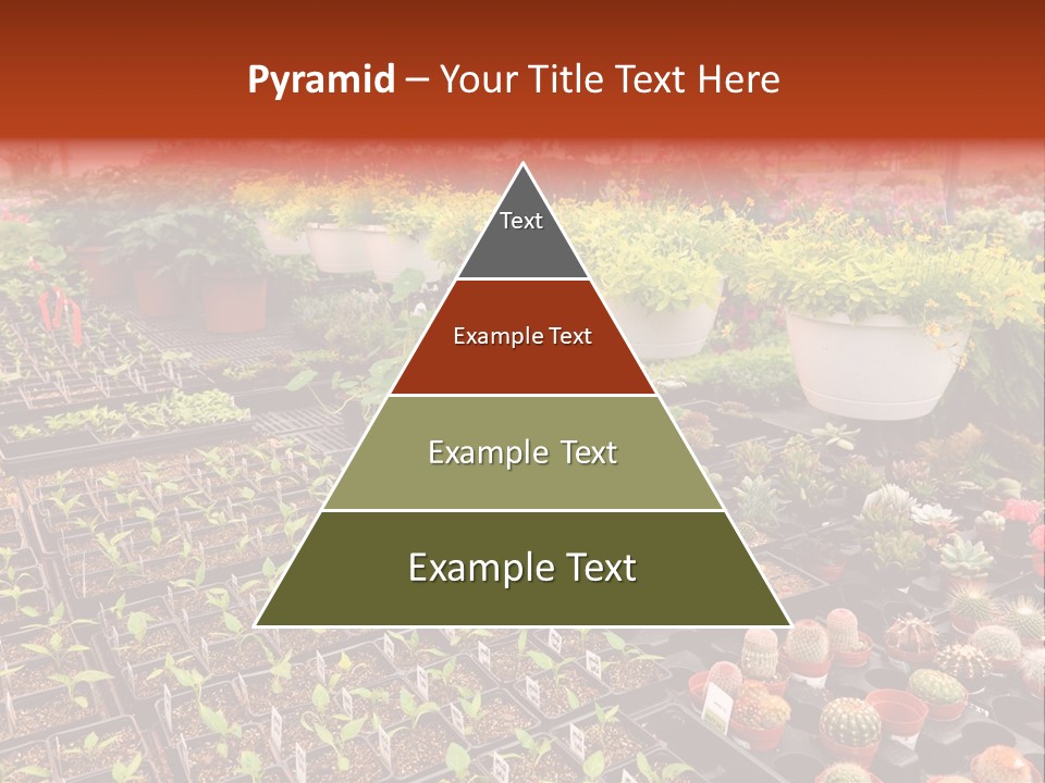 Flowers Center Outdoors PowerPoint Template