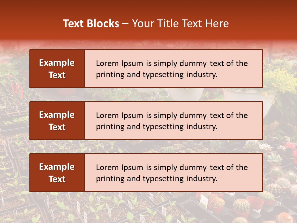 Flowers Center Outdoors PowerPoint Template