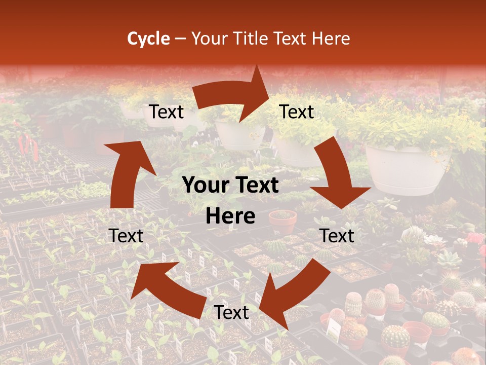 Flowers Center Outdoors PowerPoint Template