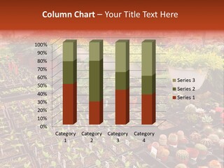 Flowers Center Outdoors PowerPoint Template