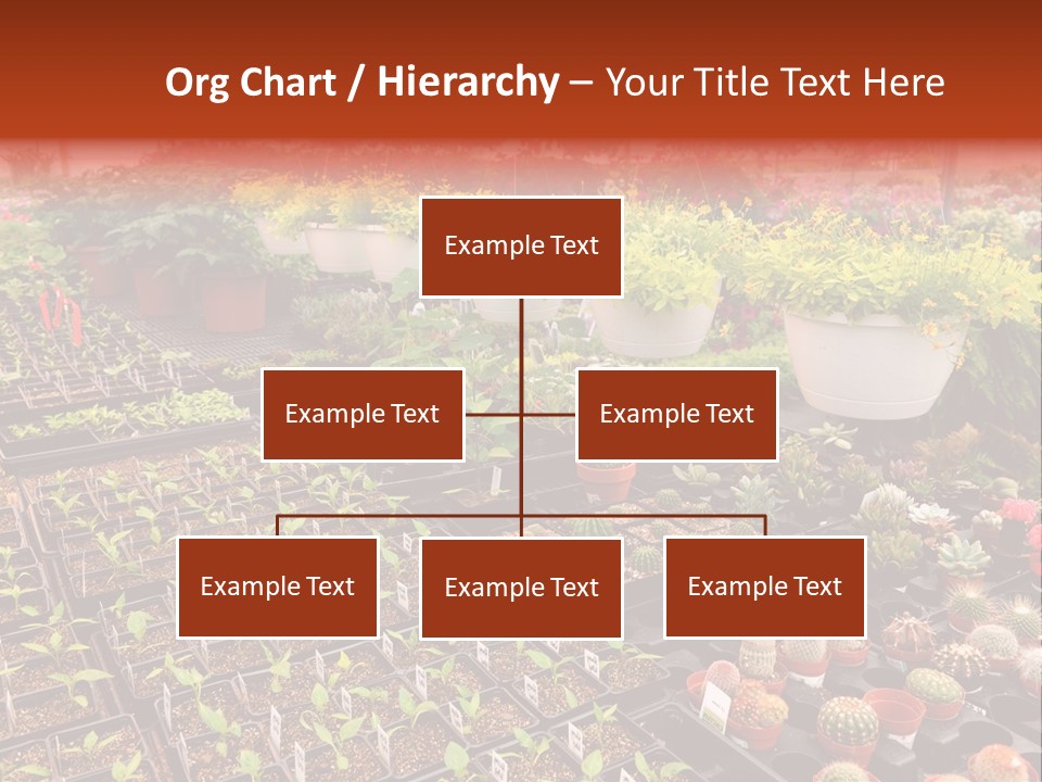 Flowers Center Outdoors PowerPoint Template