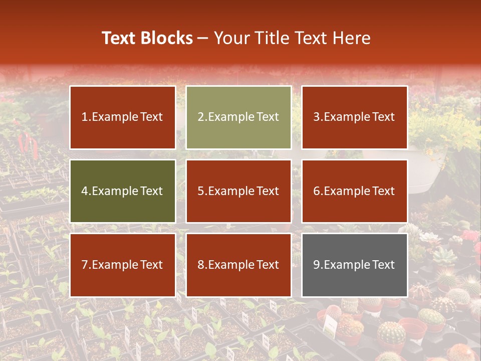 Flowers Center Outdoors PowerPoint Template