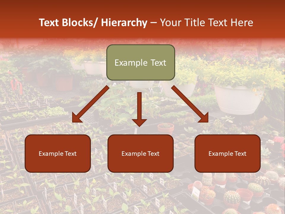 Flowers Center Outdoors PowerPoint Template