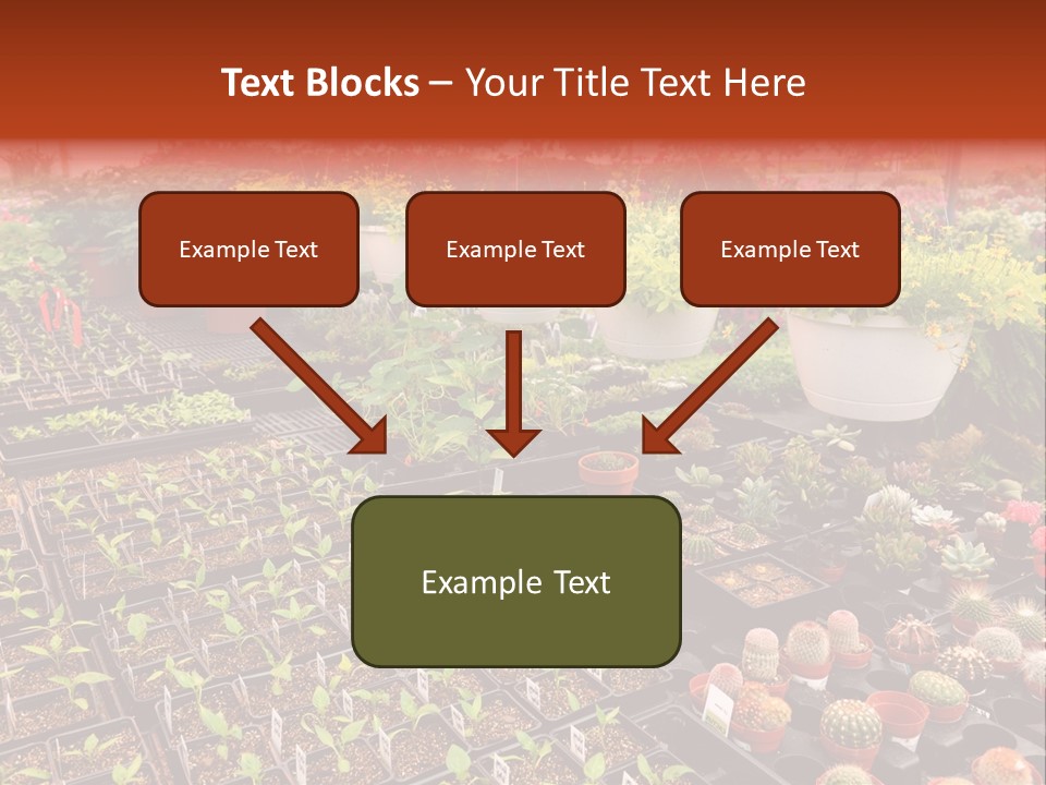 Flowers Center Outdoors PowerPoint Template
