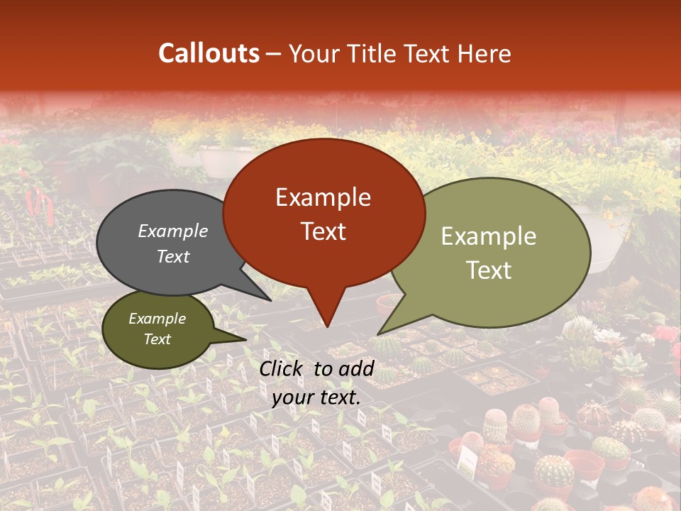 Flowers Center Outdoors PowerPoint Template