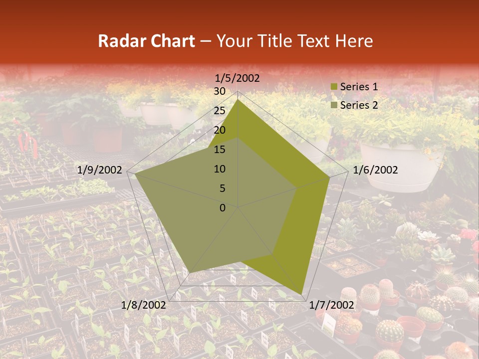 Flowers Center Outdoors PowerPoint Template