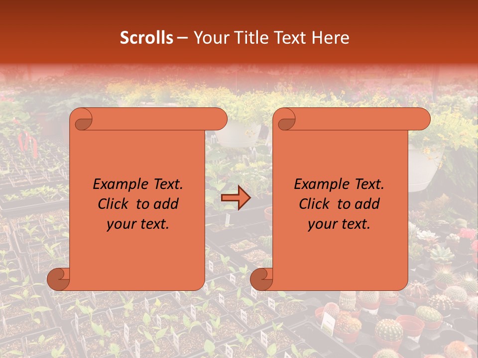 Flowers Center Outdoors PowerPoint Template