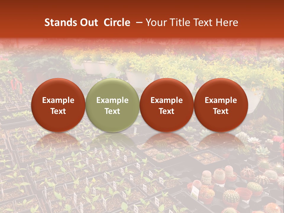 Flowers Center Outdoors PowerPoint Template