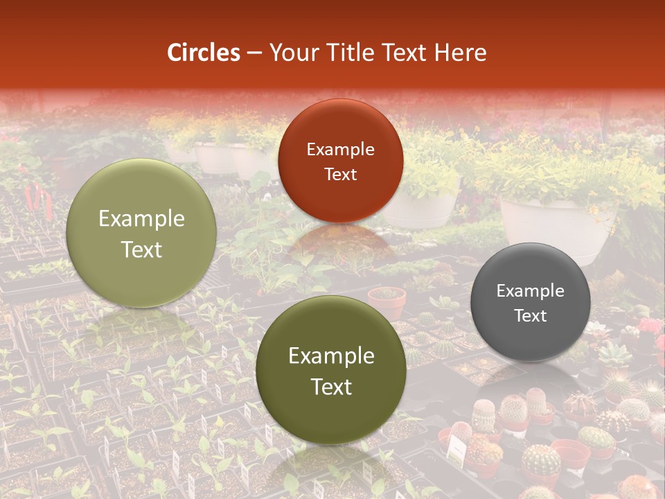 Flowers Center Outdoors PowerPoint Template