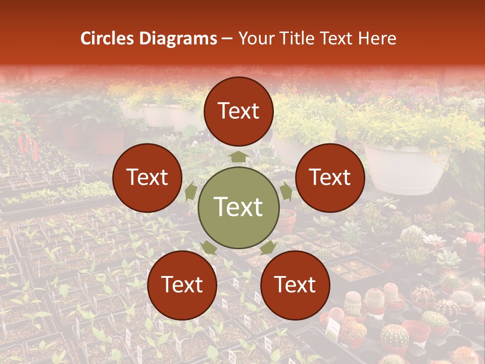 Flowers Center Outdoors PowerPoint Template