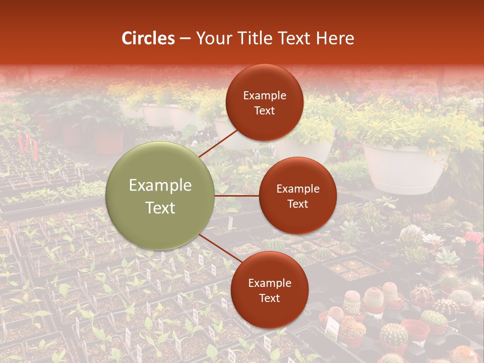 Flowers Center Outdoors PowerPoint Template