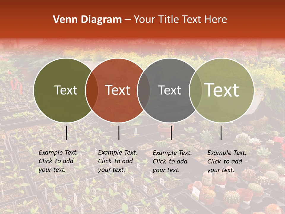 Flowers Center Outdoors PowerPoint Template