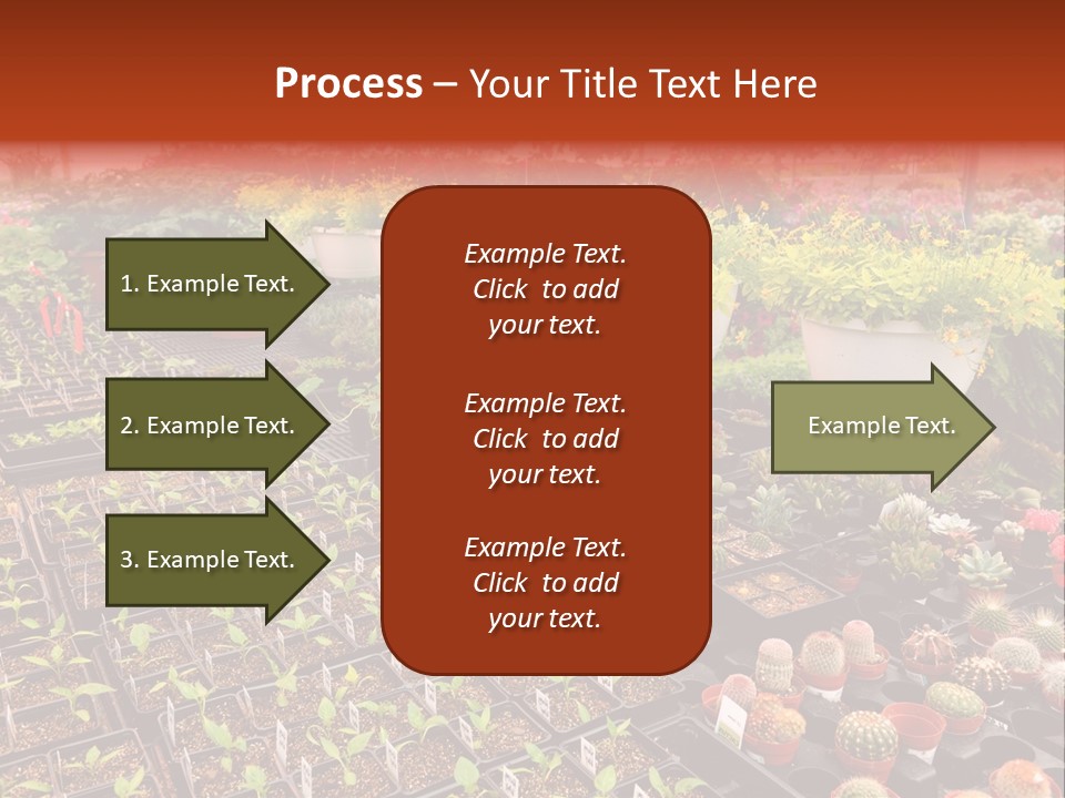 Flowers Center Outdoors PowerPoint Template