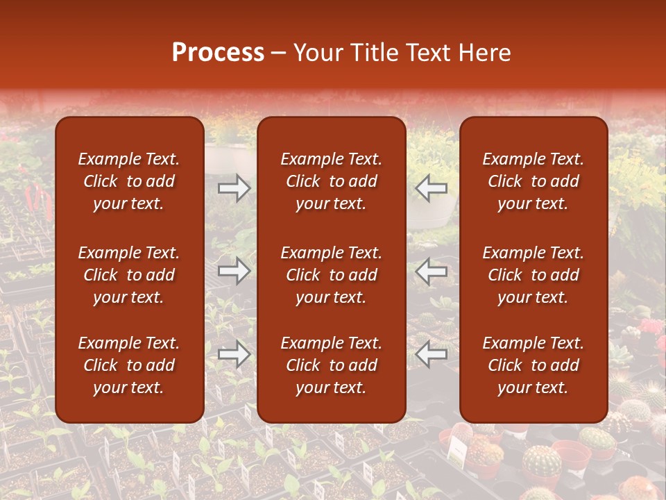Flowers Center Outdoors PowerPoint Template