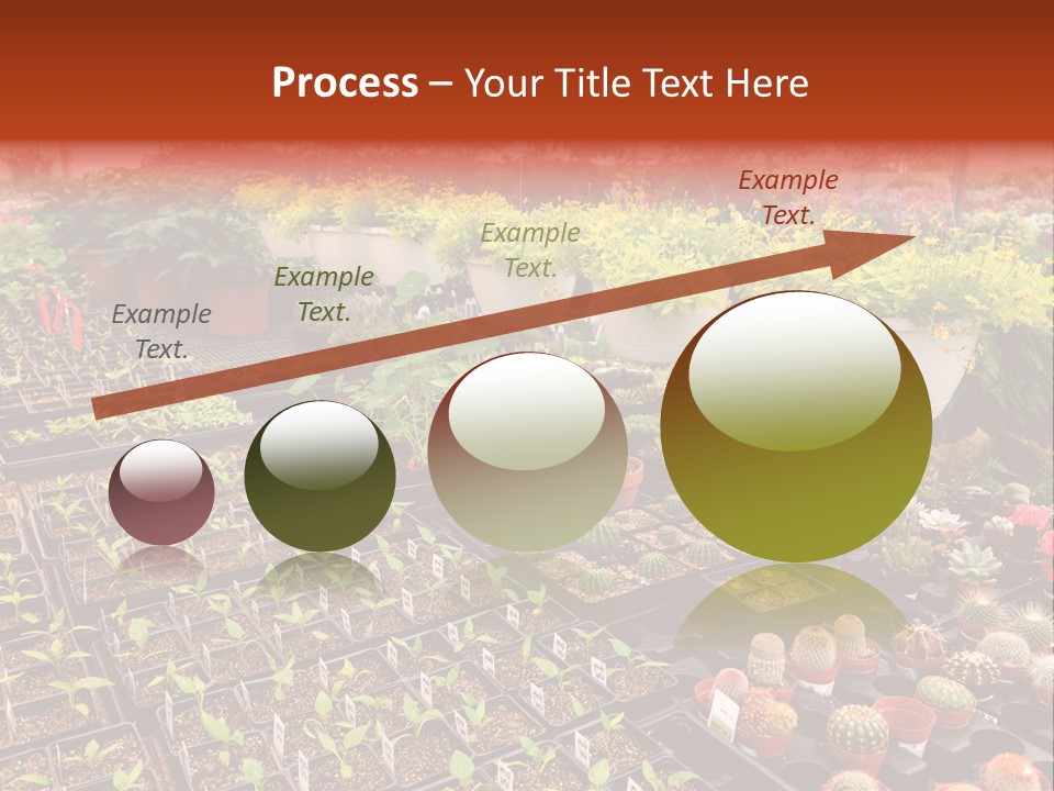 Flowers Center Outdoors PowerPoint Template