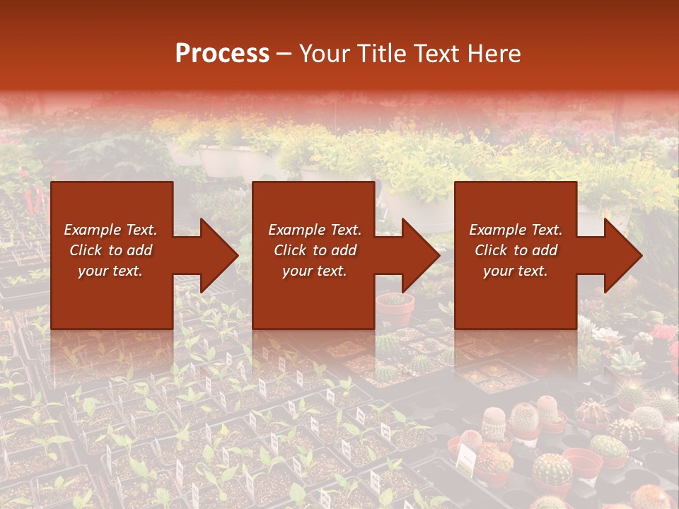 Flowers Center Outdoors PowerPoint Template