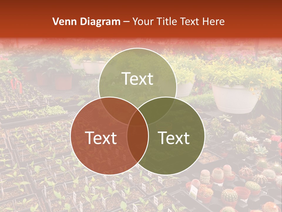 Flowers Center Outdoors PowerPoint Template