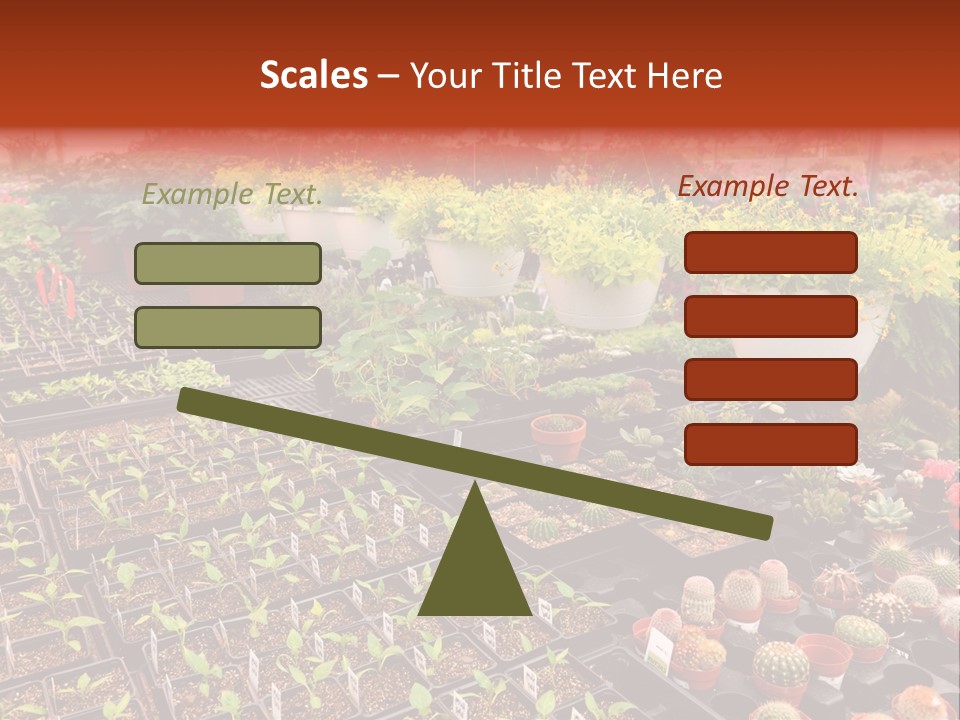 Flowers Center Outdoors PowerPoint Template