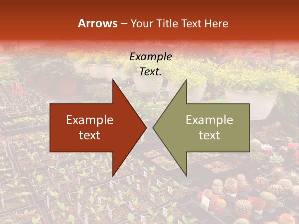 Flowers Center Outdoors PowerPoint Template