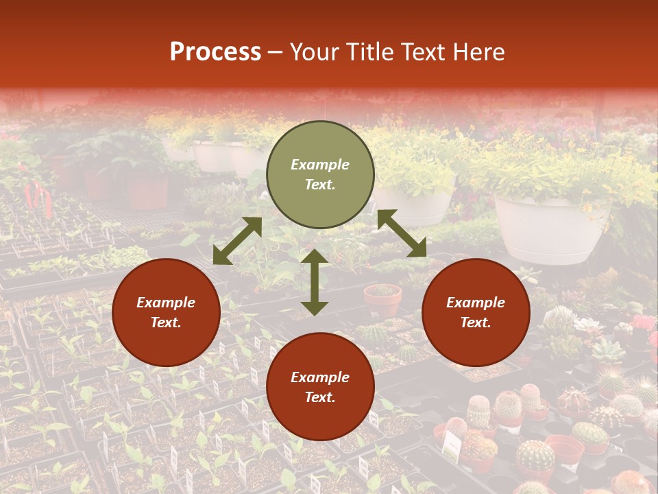 Flowers Center Outdoors PowerPoint Template