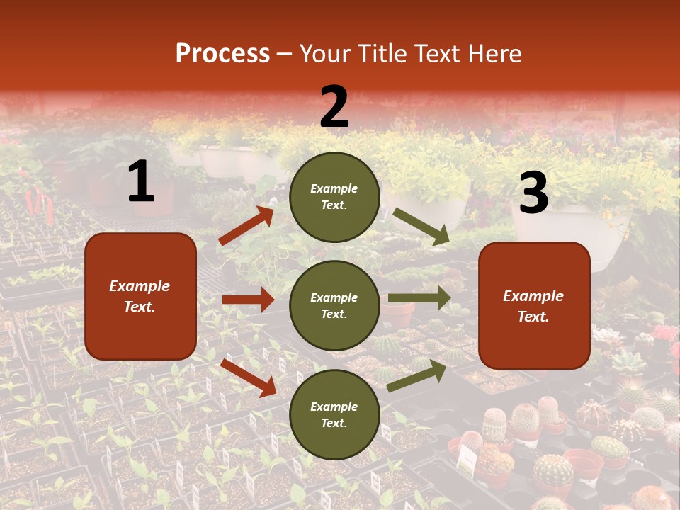 Flowers Center Outdoors PowerPoint Template