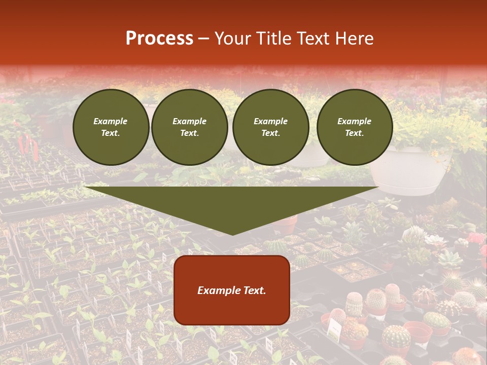 Flowers Center Outdoors PowerPoint Template