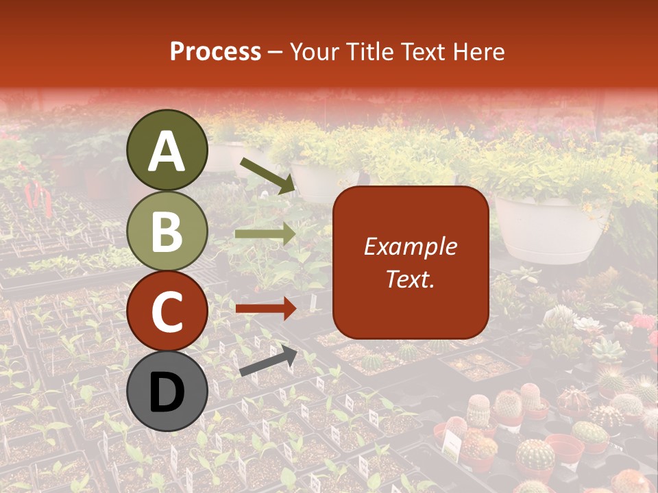 Flowers Center Outdoors PowerPoint Template