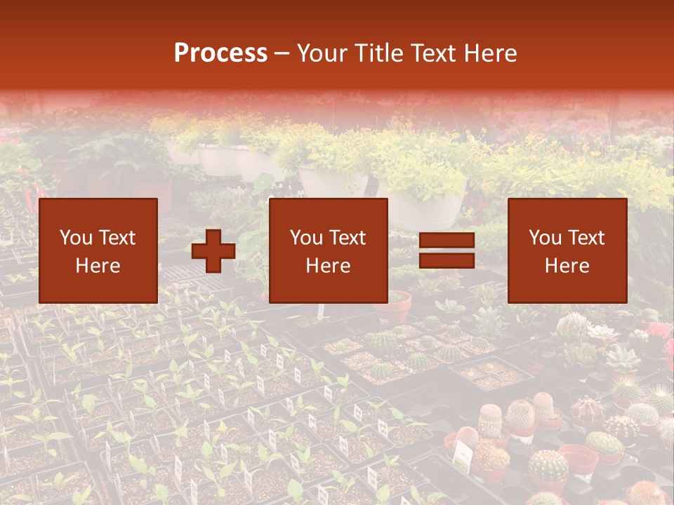 Flowers Center Outdoors PowerPoint Template