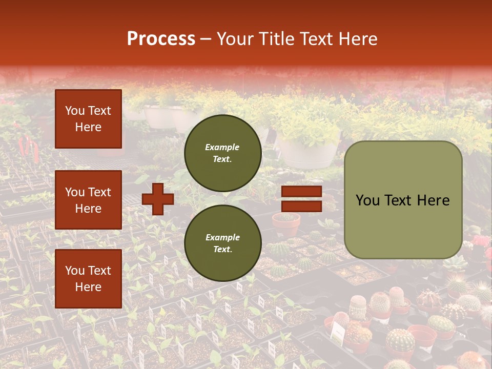 Flowers Center Outdoors PowerPoint Template