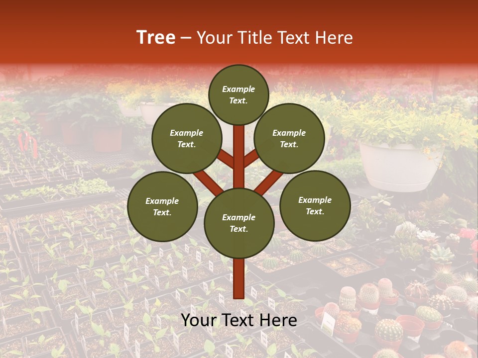 Flowers Center Outdoors PowerPoint Template