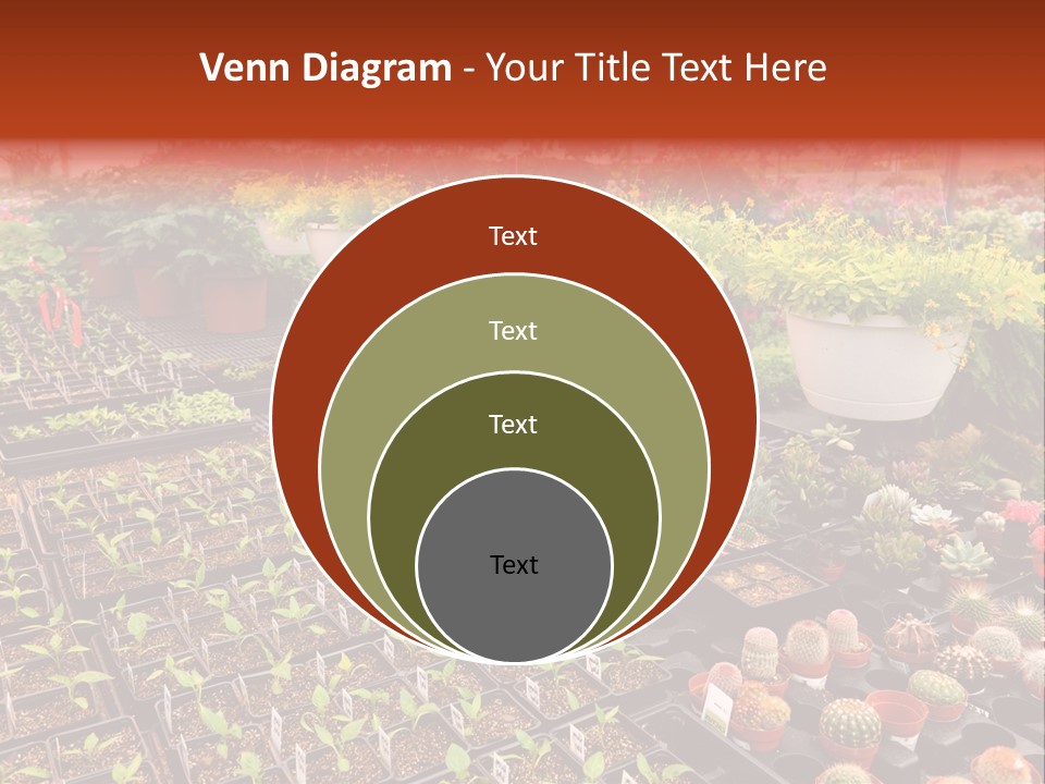 Flowers Center Outdoors PowerPoint Template